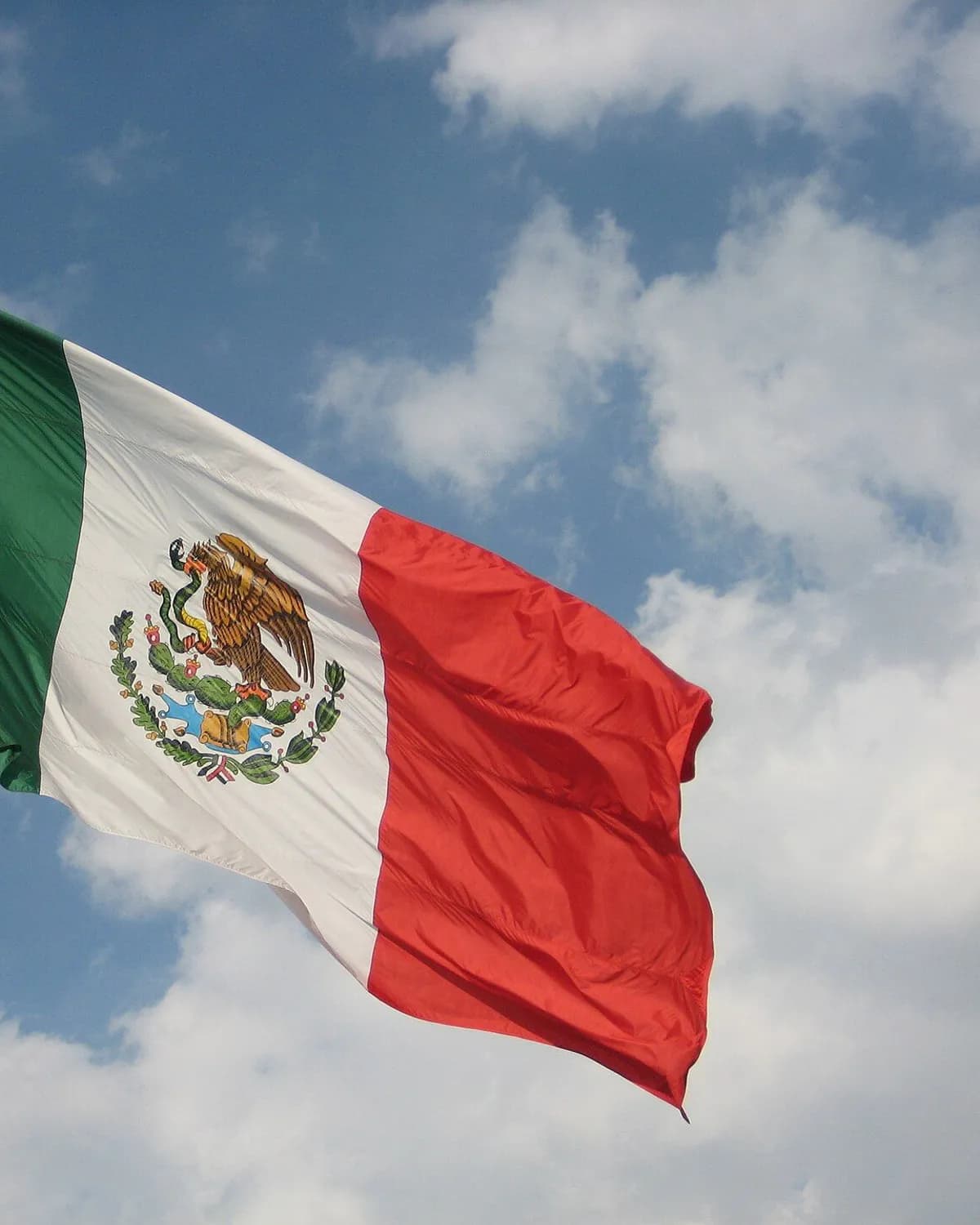 Bandera nacional 90 × 150 cm